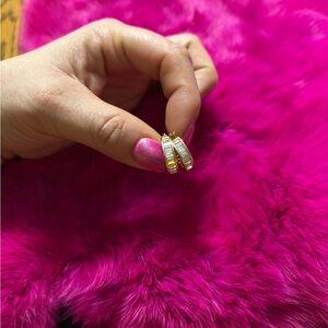 Elegant Hoop Earrings